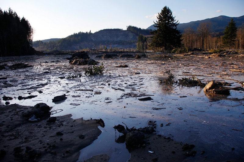Washington Mudslide At Sunset