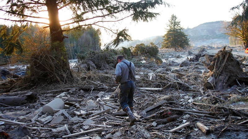 Man Wanders Through Wreckage
