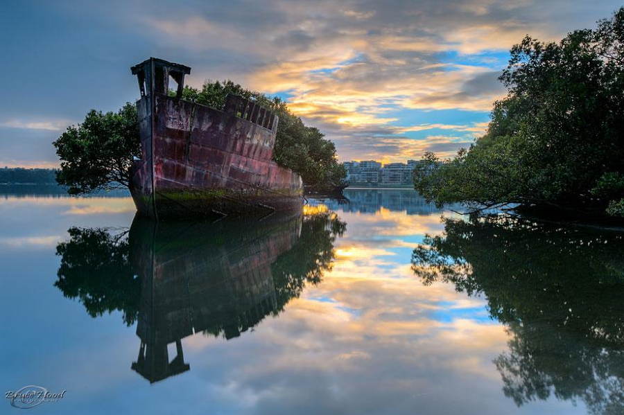 Abandoned Structures Floating Forest