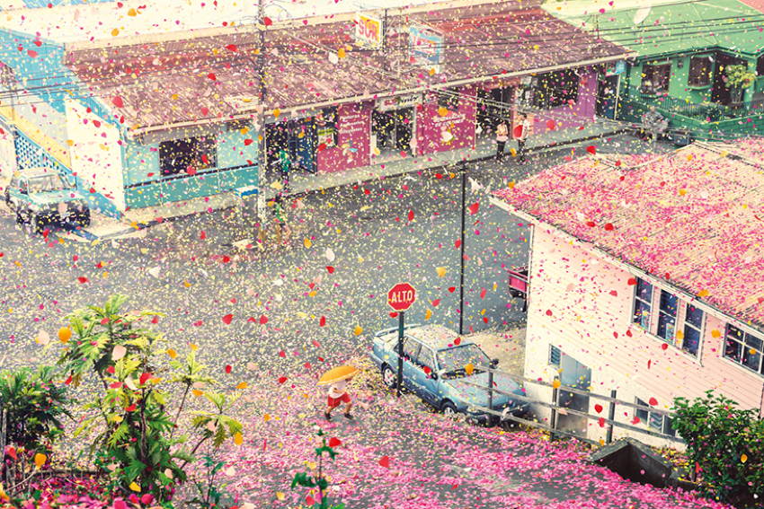 Costa Rica Flowers Aerial