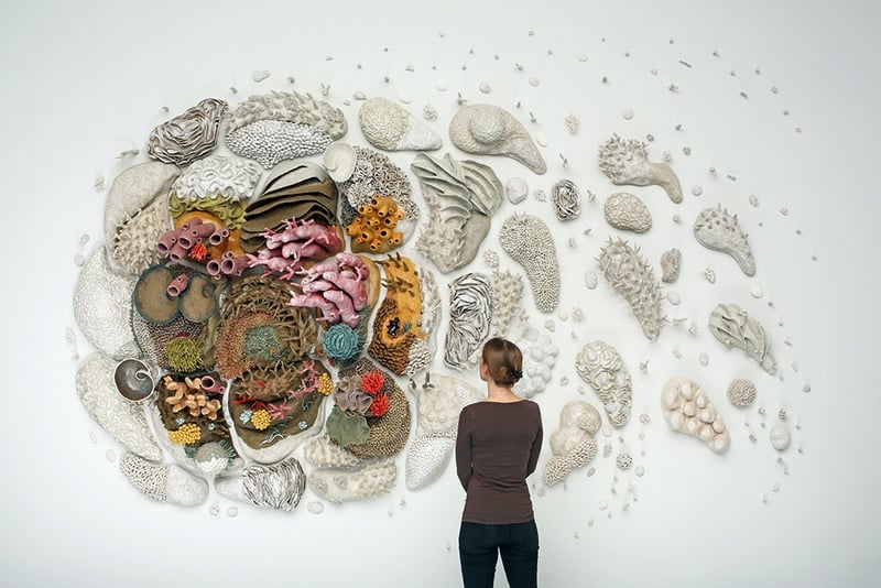 Courtney Mattison's Our Changing Seas