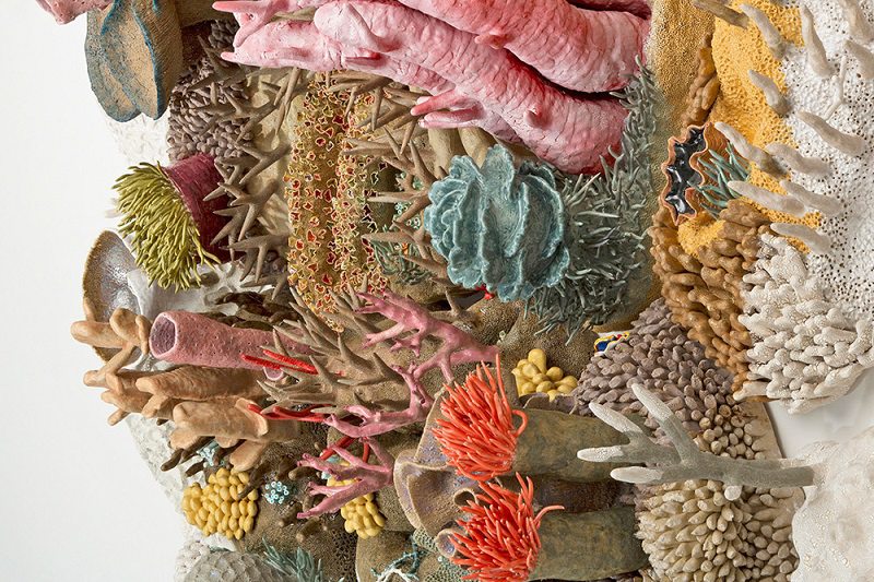 Our Changing Seas Coral Artwork