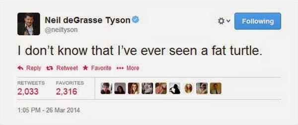 Neil DeGrasse Tyson Tweets Fat Turtle