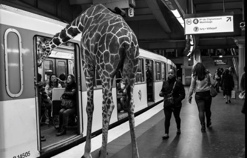 Paris Entering Train