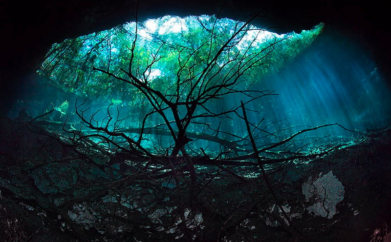 Cenote Angelita