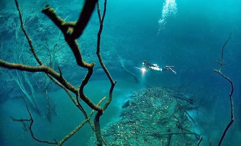 Hovering Over Underwater River