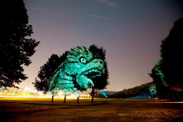 Dragon Projection
