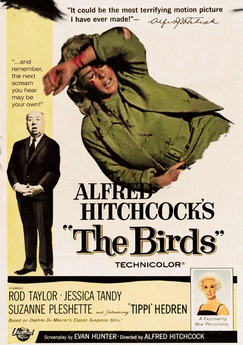 Animated Movie Posters Birds