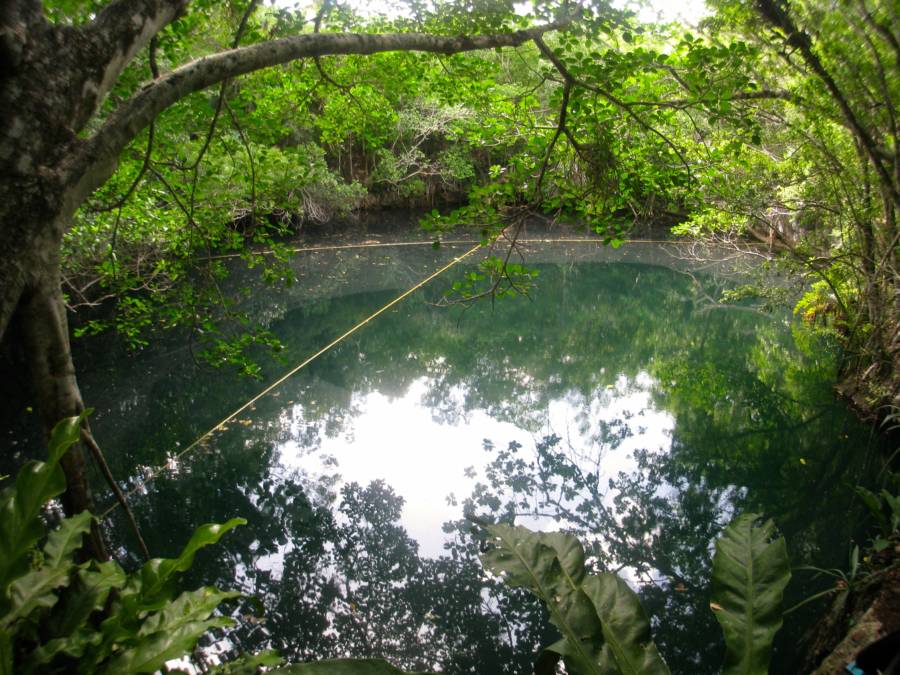 Cenote Angelita Surface