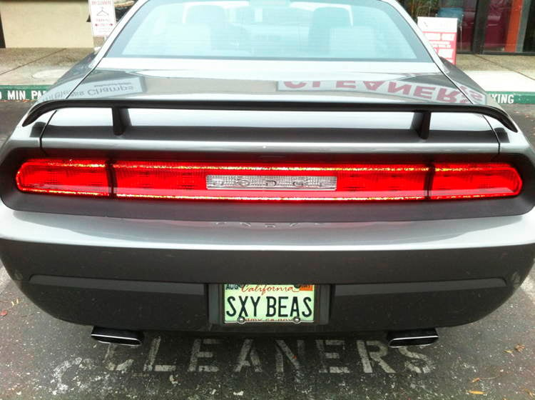 Craziest Laws Personalized Plates