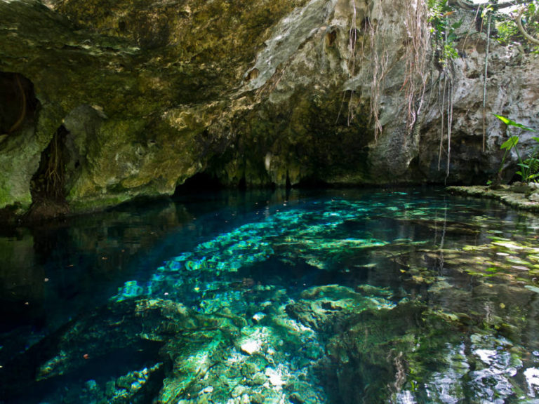 Mexicos Underwater River A Paradise For Divers The World Over