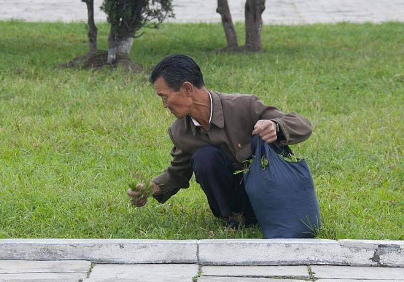 North Korea Photographs Starvation