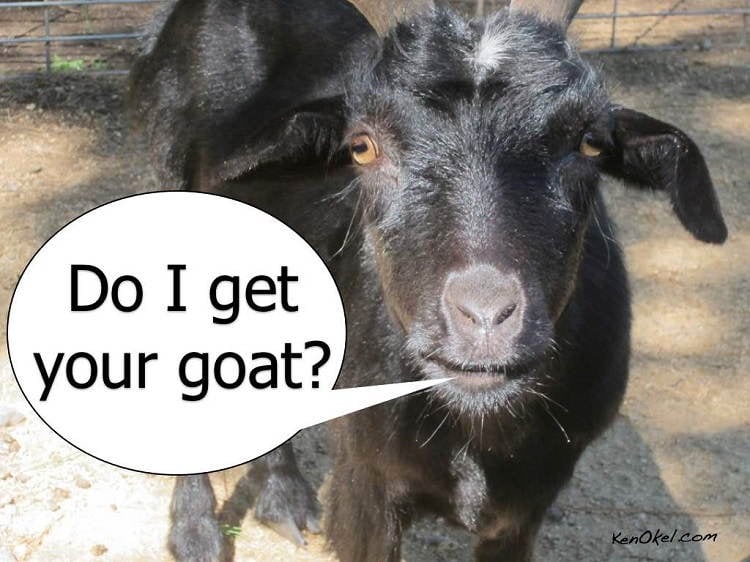English Idioms Get Goat