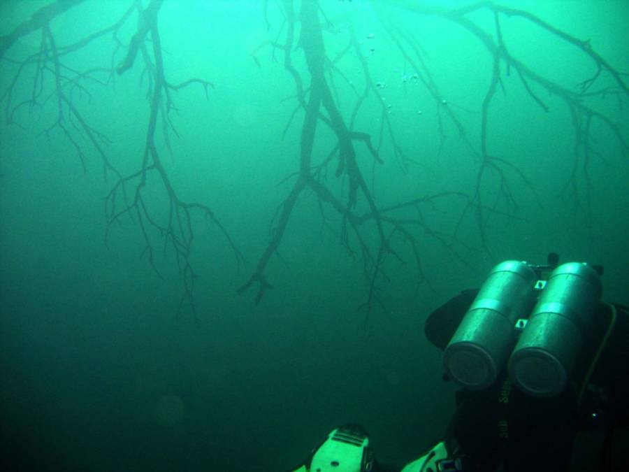 Mexicos Underwater River A Paradise For Divers The World Over