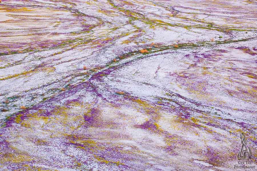 Alluvial Rug