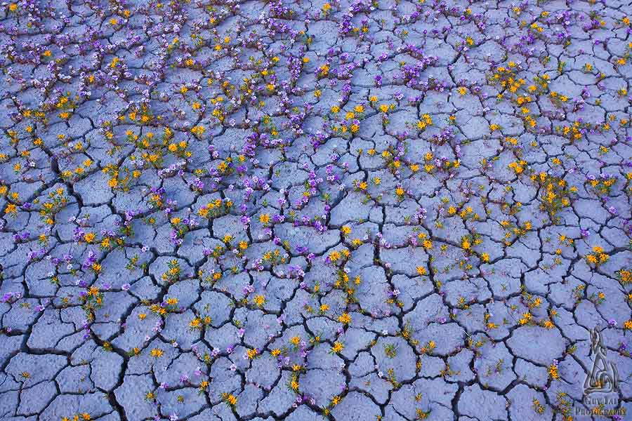Cracks In Ground