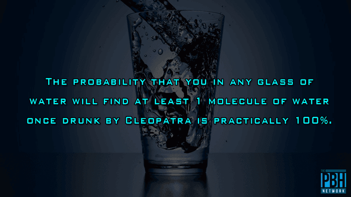 Amazing Facts Who Drank Your Water