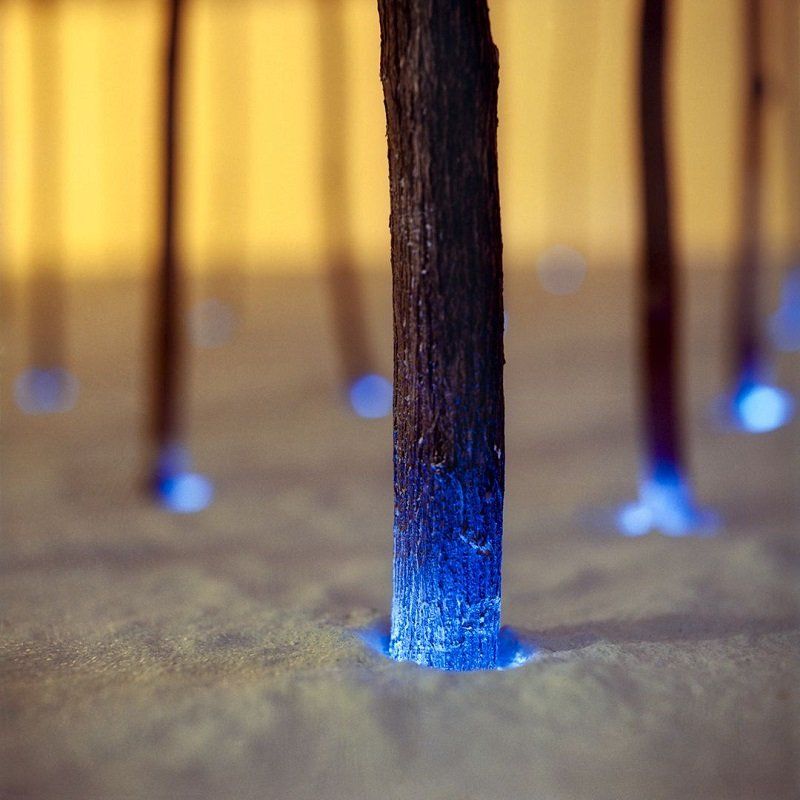 Blue Trees Light Installations
