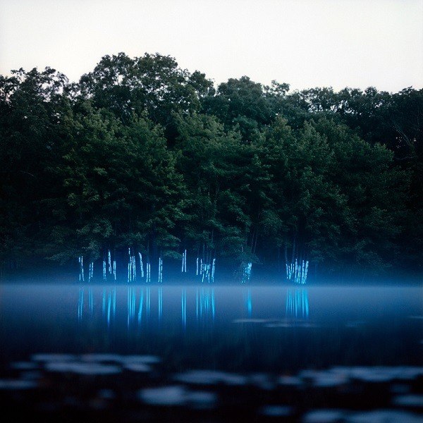 Barry Underwood Glowing Trees