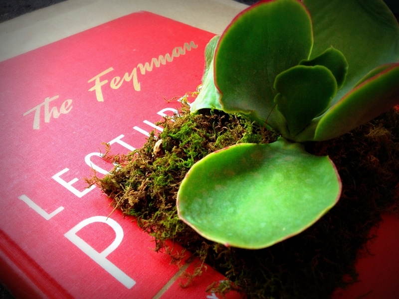 Sherri Green Book Art