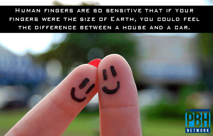 Human Finger Sensitivity