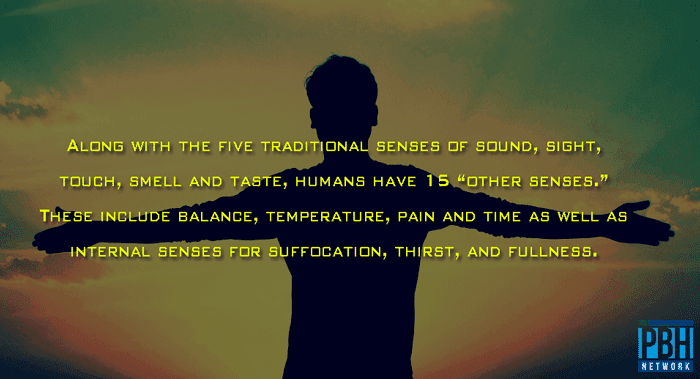 Human Senses