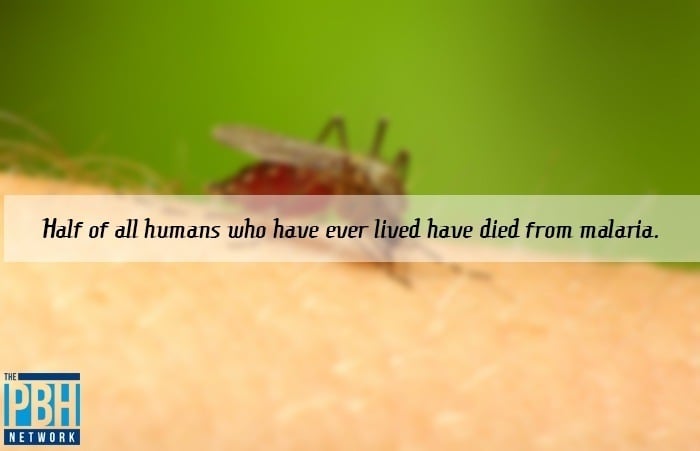 Malaria Deaths