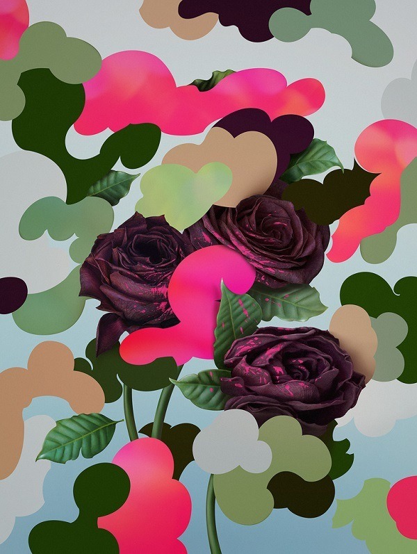Camouflowers Pawel Nolbert