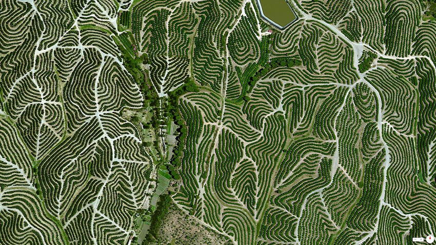 Satellite Photos Spain