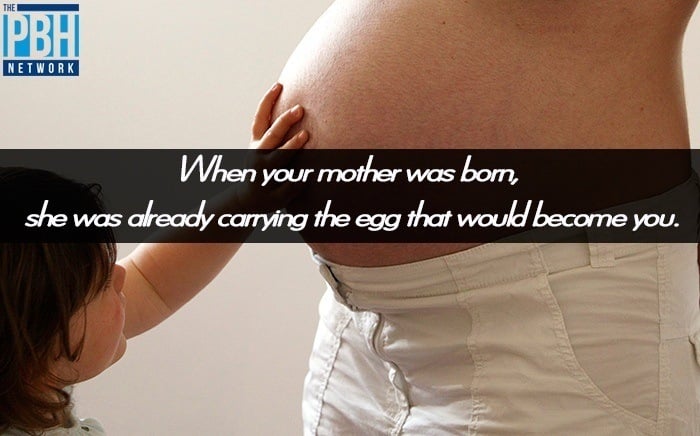 The Egg You Became