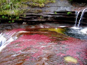 River Of Five Colors Deep Pool