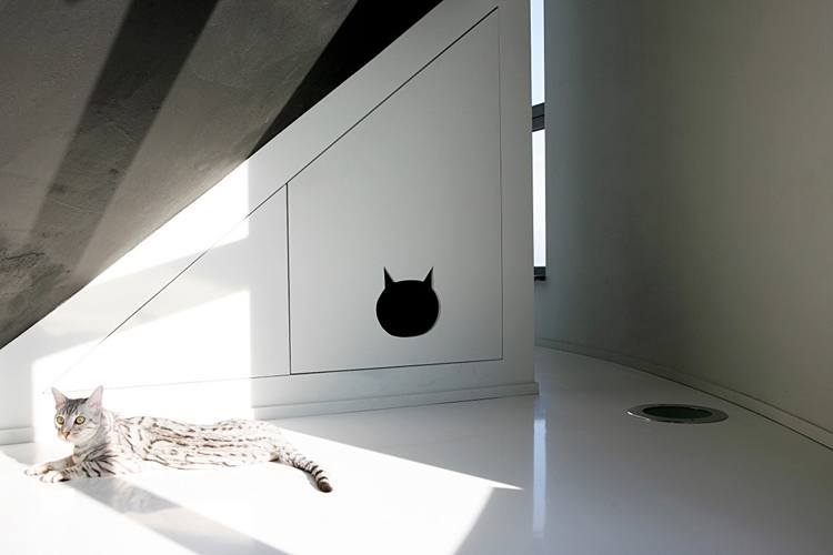 Water Tower Home Cat House
