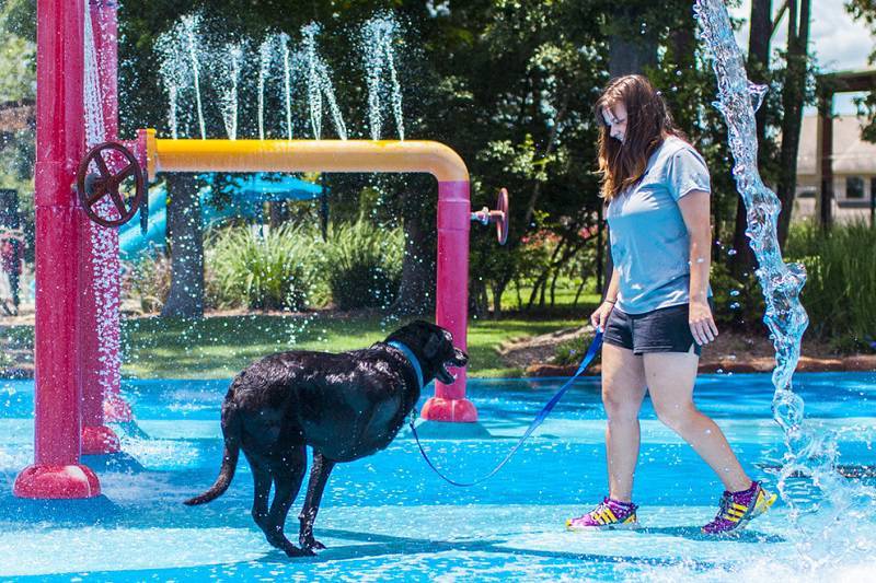 Terminally Ill Dog Has Best Day Ever