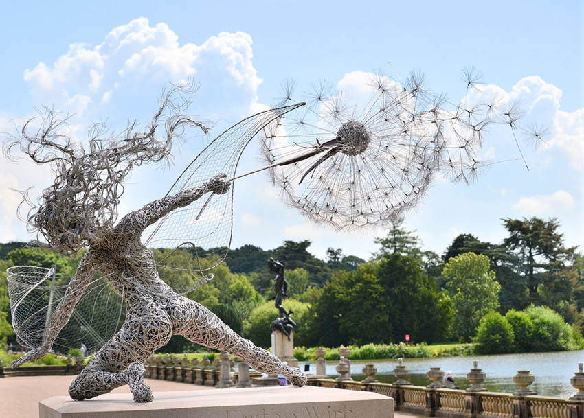 Steel Fairies Dandelion