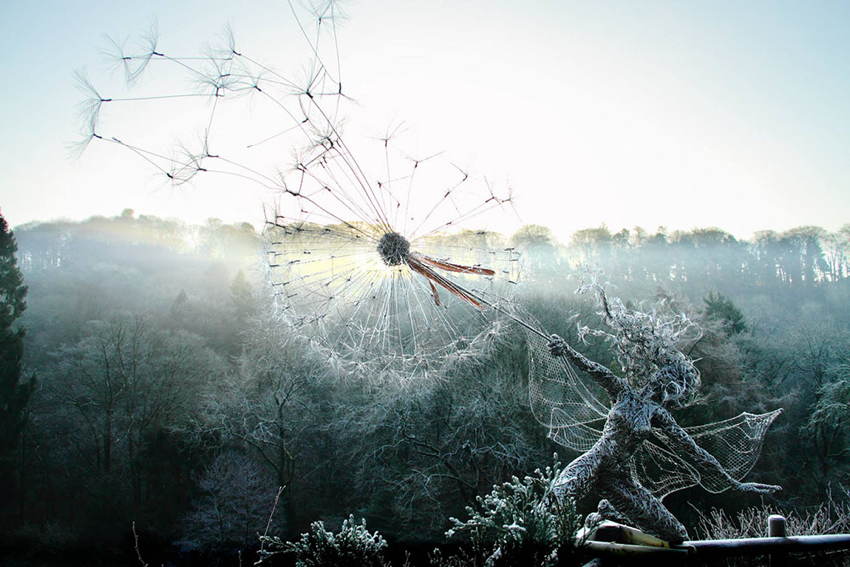 Steel Fairies Fog