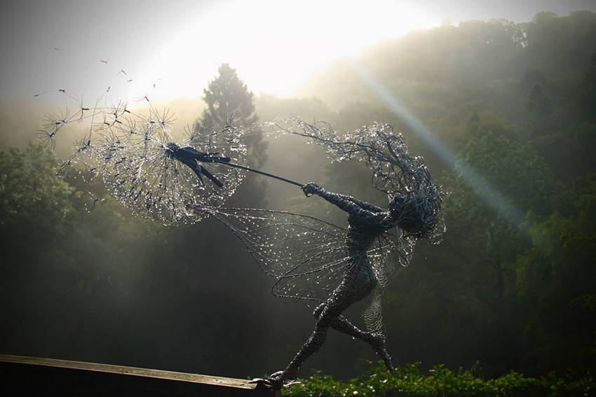 Steel Fairies Sunlight