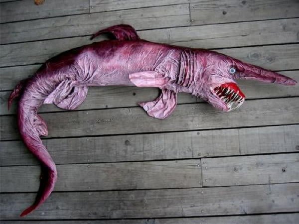 Goblin Shark Pink