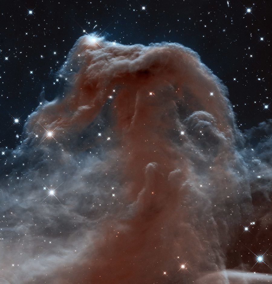 Hubble Flickr Horsehead Nebula