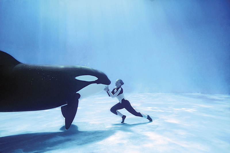 Orca with Trainer