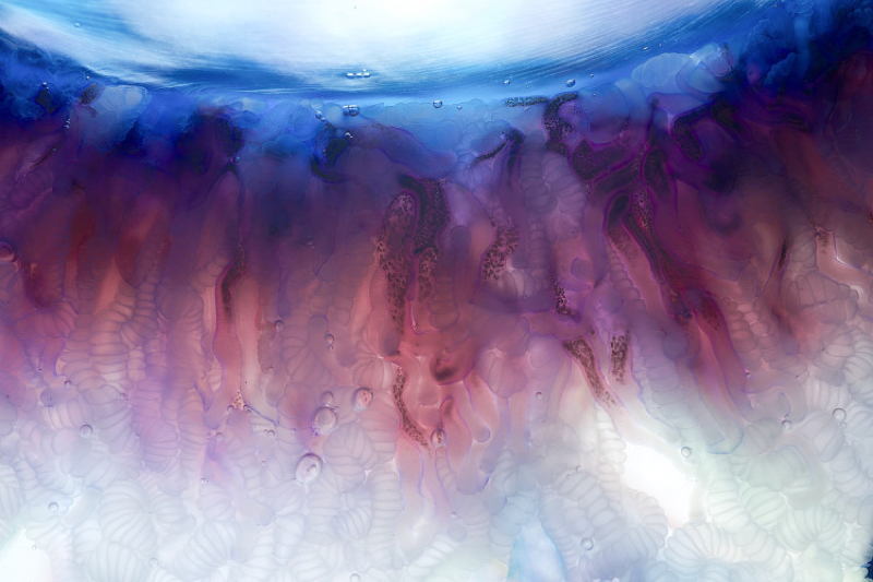 Man Of War Gradient
