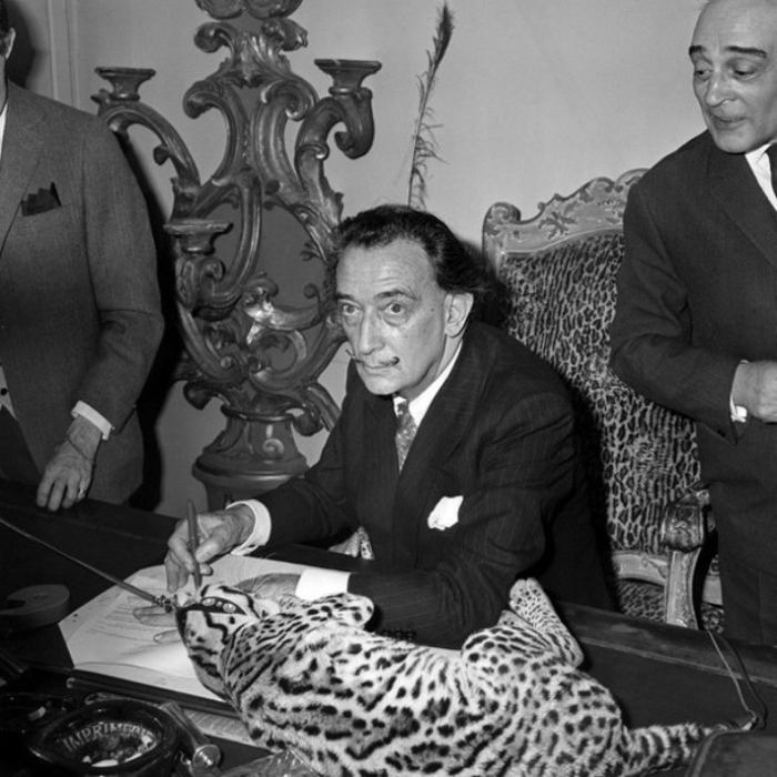 Salvador Dali With A Cat