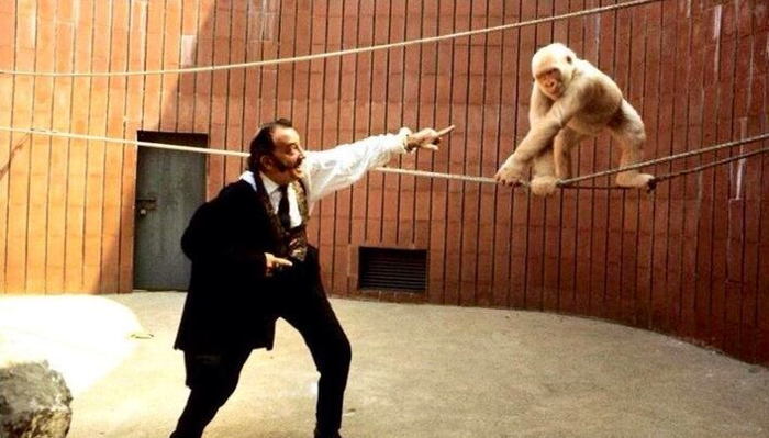 Dali With A Monkey