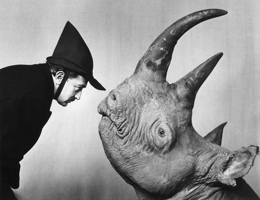 Salvador Dali Meets A Rhino