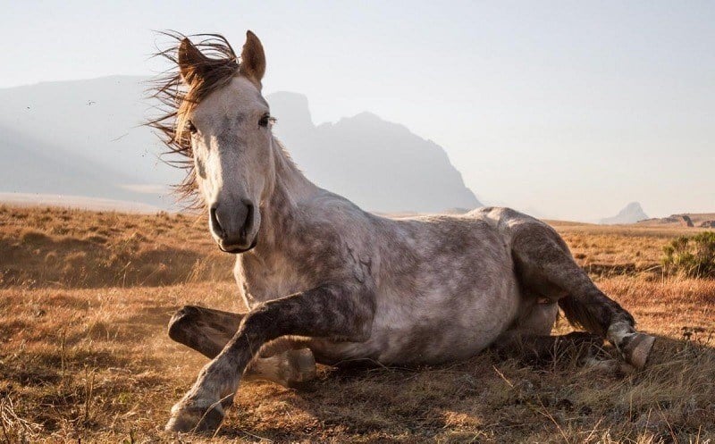 Byron Inggs Traveler Photo Contest