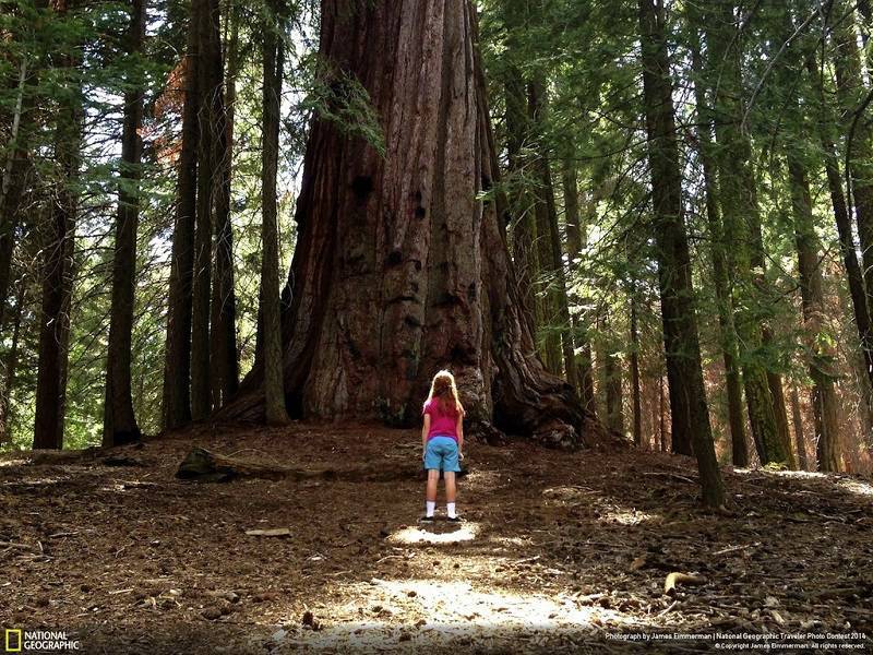 James Eimmerman Traveler Photo Contest