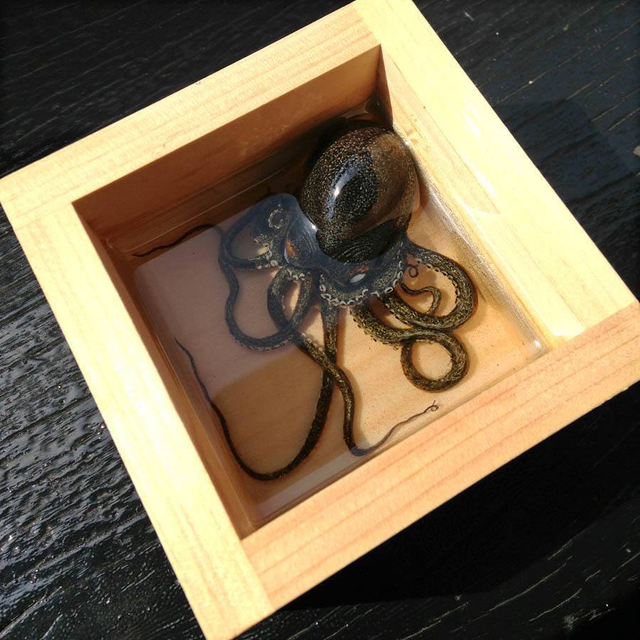 Keng Lye Octopus Box