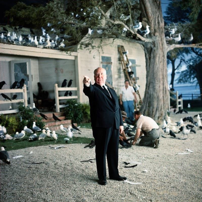 Albert Hitchcock On The Set Of Birds