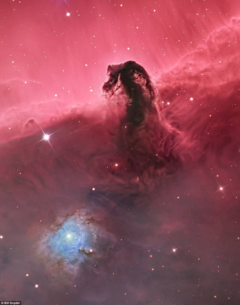 Horsehead Nebula (IC 434) by Bill Snyder. Winner of Deep Space category. Source: ViralSpell