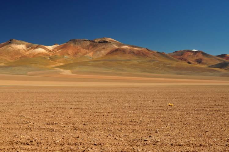 Atacama Desert