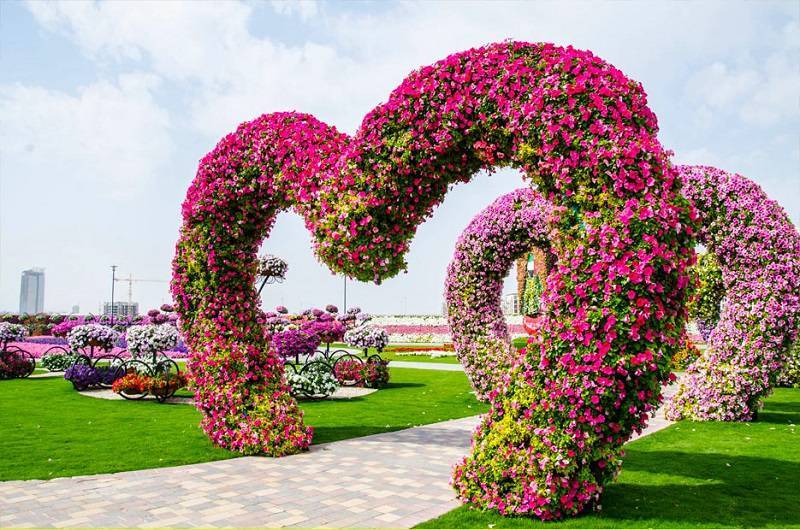 dubai miracle garden wallpaper